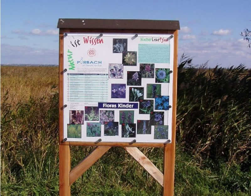 Schilflehrpfad bei Purbach im Burgenland