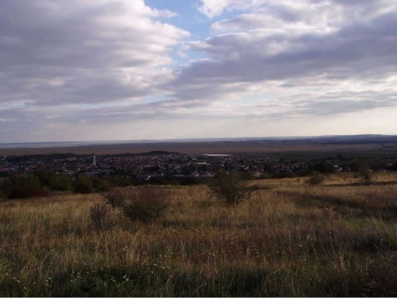 Waldbründllehrpfad bei Purbach Burgenland