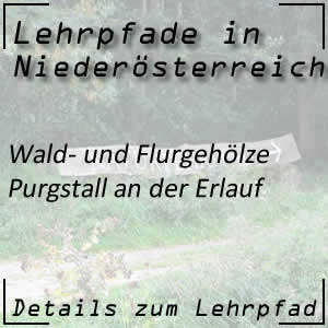 Lehrpfad Wald- und Flurgehölze in Purgstall