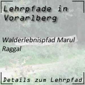 Lehrpfad Raggal Walderlebnispfad Marul