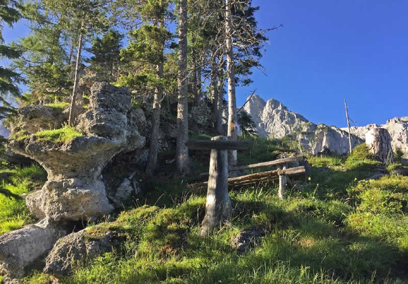 Ramsauer Toleranzweg in Ramsau am Dachstein