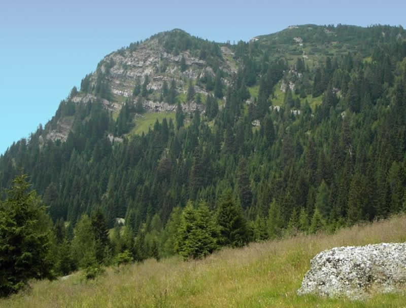 Naturlehrpfad Rattendorf beim Nassfeld