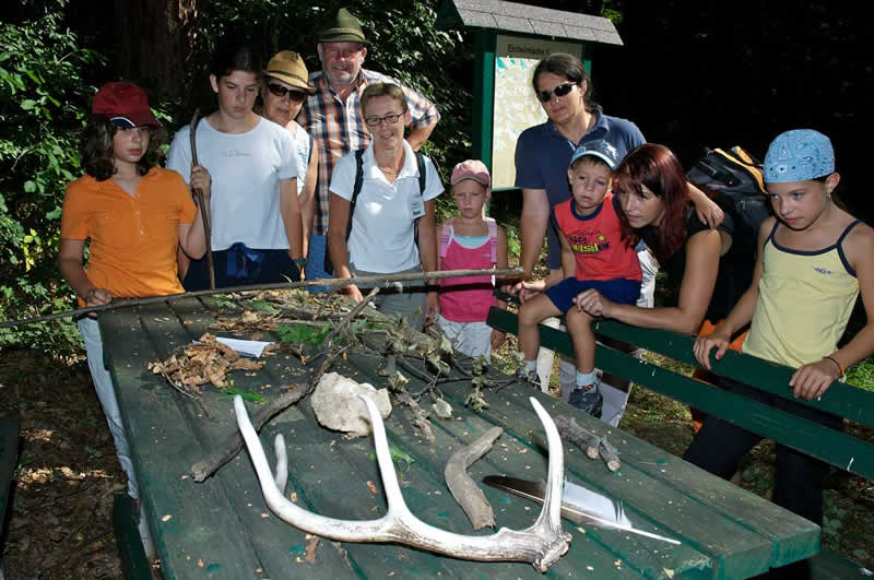 Jagdlehrpfad in Rechnitz Burgenland