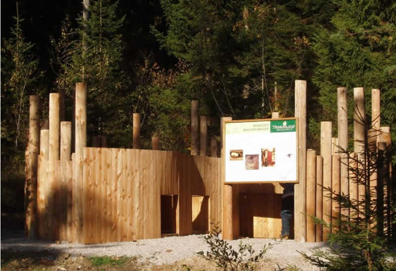 Themenweg Wald & Wasser in Rohr im Gebirge