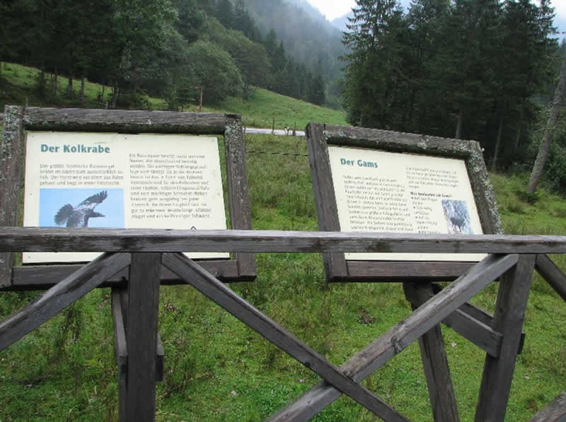 Lehrpfad auf der Alm in Rosenau am Hengstpass