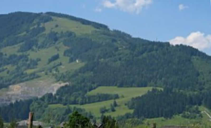Naturlehrpfad Steinalm in Saalfelden