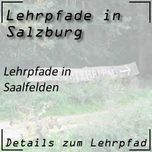 Lehrpfade in Saalfelden