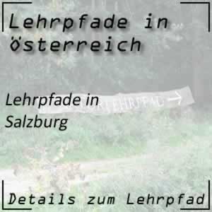 Lehrpfade in Salzburg