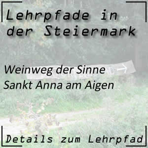 Weinweg in Sankt Anna am Aigen