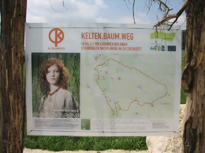 Lehrpfad Kelten.Baum.Weg in Sankt Georgen im Attergau