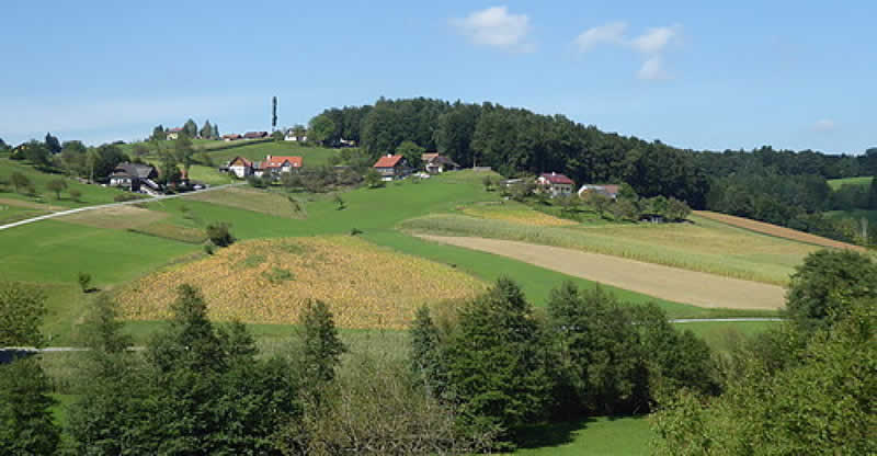 Lehrpfad in Sankt Martin im Sulmtal