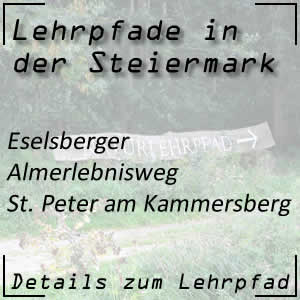 Lehrpfad in St. Peter am Kammersberg