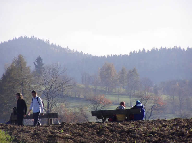 Adalbert-Stifter-Panoramasteig in Sankt Stefan am Walde