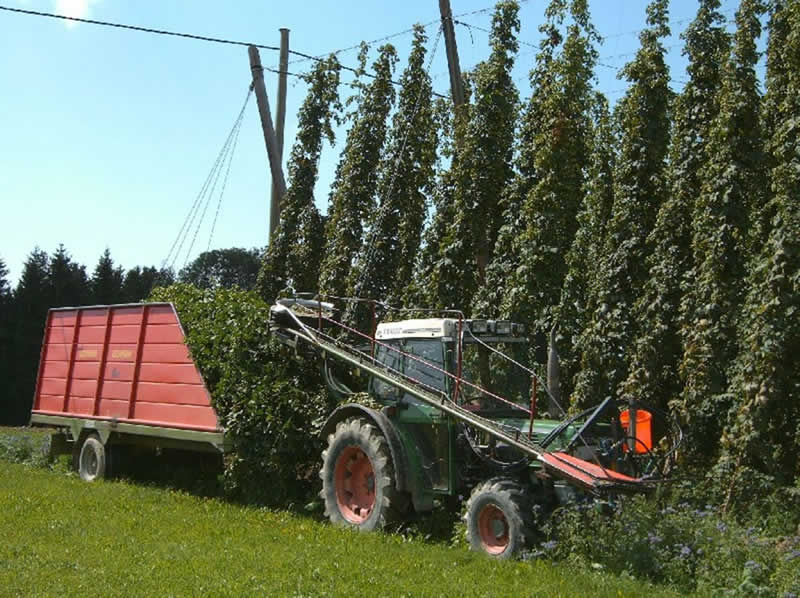 Lehrpfad Hopfenstein in Sankt Ulrich im Mühlkreis