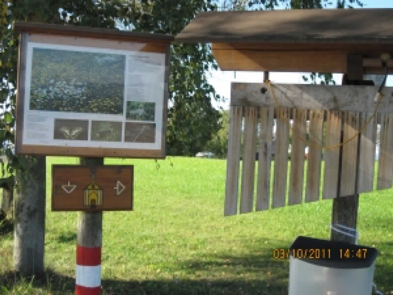 Schallenbergerweg in Sankt Ulrich im Mühlkreis