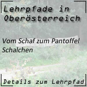 Lehrpfad in Schalchen