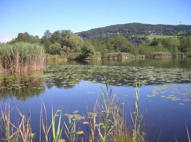 Naturlehrweg Keutschacher Seental Kärnten