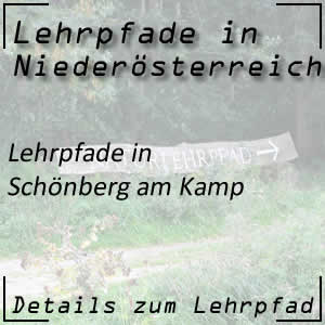 Lehrpfade in Schönberg am Kamp