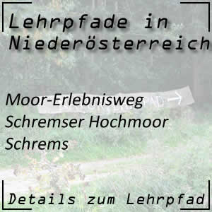 Moor-Erlebnisweg Schremser Hochmoor