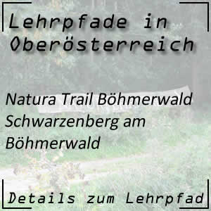 Natura Trail Böhmerwald in Schwarzenberg