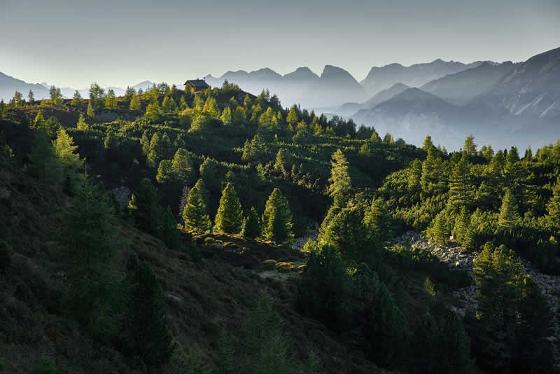 Lebensbaumpfad in Sankt Georgen im Lavanttal