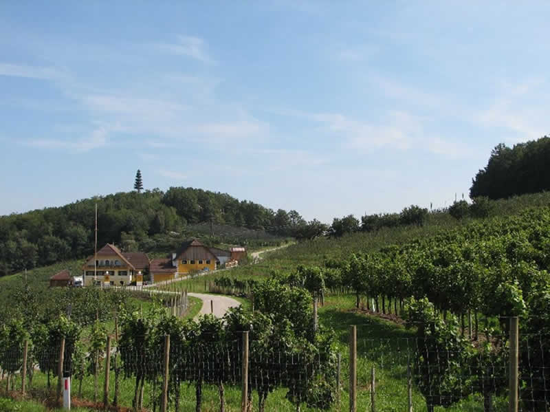 Schnaps Lehrpfad in Stubenberg am See