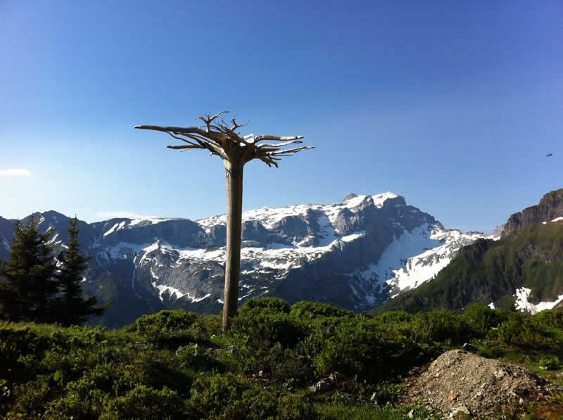 Lehrpfad AlpkulTour bei Schruns-Tschagguns Vorarlberg