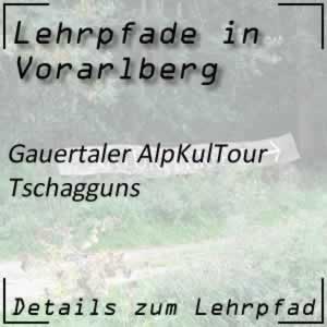 Lehrpfad Tschagguns Gauertaler AlpkulTour