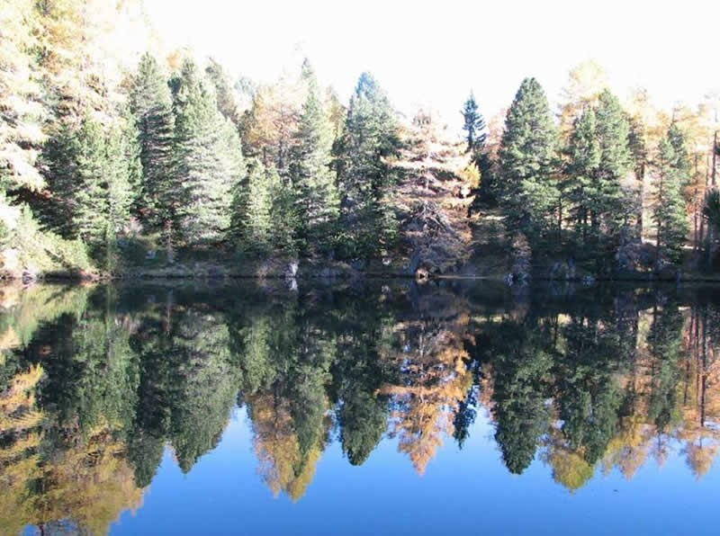 Lehrpfad Drei Seen Weg auf der Turracher H&ouml;he