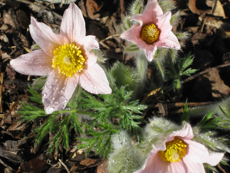 Naturlehrpfad Unterbergen Kärnten