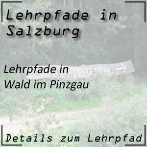 Lehrpfade in Wald im Pinzgau