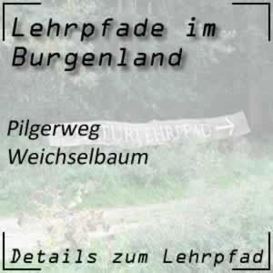 Lehrpfad Weichselbaum Pilgerweg