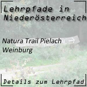 Natura Trail Pielach in Weinburg