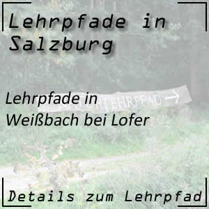 Lehrpfade in Weißbach bei Lofer