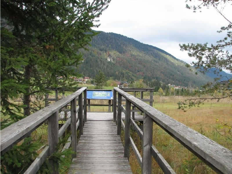 Feuchtwiesenwanderweg beim Weissensee