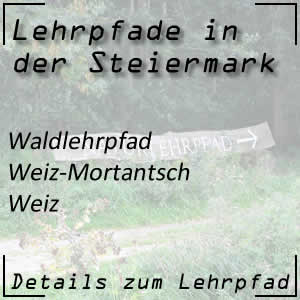 Waldlehrpfad in Weiz