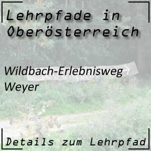 Wildbach-Erlebnisweg in Weyer