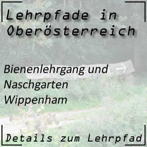 Bienenlehrpfad in Wippenham