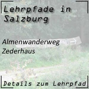 Almenwanderweg in Zederhaus