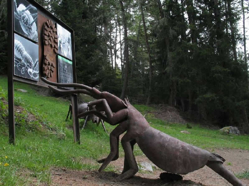 Waldlehrpfad Zedlacher Paradies Osttirol