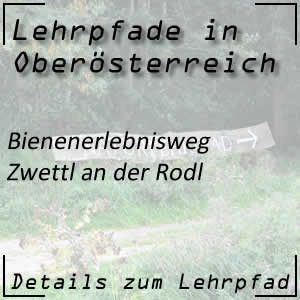 Bienenerlebnisweg in Zwettl an der Rodl