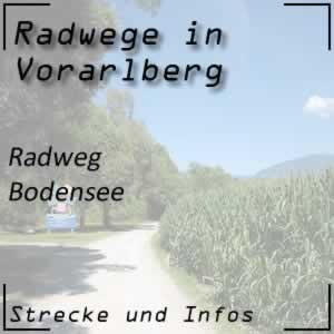 Radweg Bodensee