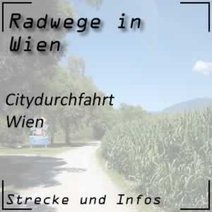 Radweg Citydurchfahrt Wien