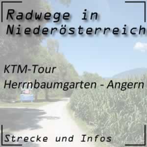 Radweg KTM-Tour Herrnbaumgarten - Angern