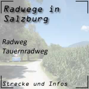 Tauernradweg von Krimml bis Salzburg