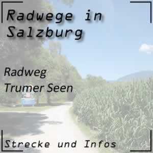 Radweg Trumer Seen