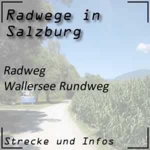 Radweg Wallersee Rundweg