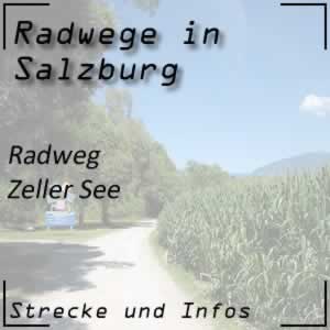 Radweg Zeller See