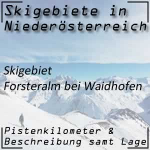 Skigebiet Forsteralm Waidhofen