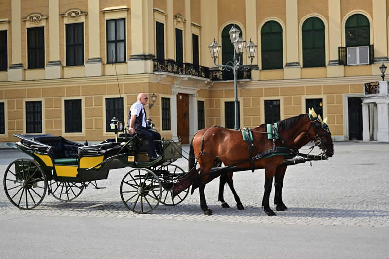 Kutsche vor Schloss Sch&ouml;nbrunn in Wien